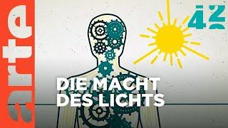 Was ist das Geheimnis des Lichts? | 42 - Die Antwort auf fast alles Reupload | ARTE