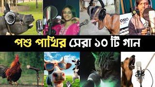 পশু পাখির ভাইরাল গান | Animals Songs |  গরু | Despacito Dog | Chicken | Funny cow | Hero Alom | L2M