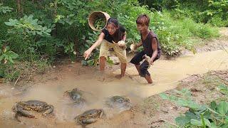 Wow Big Big crab! Catching Crabs from lake and Cooking Soup for lunch