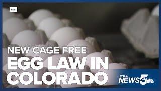 New cage free egg law goes into effect in Colorado Wednesday