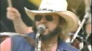 Hank Williams Jr. -   A Country Boy Can Survive