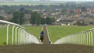 Newmarket - Made for the Racehorse (Short version)