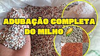 ADUBAÇÃO COMPLETA DO MILHO   