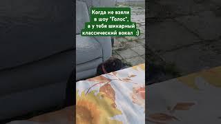 Собака поёт #shorts #собака #ялюблюсобак  #песни #dog #song #pets