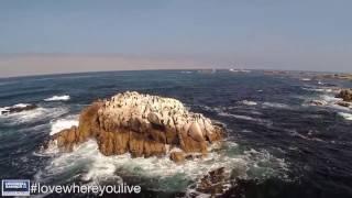 Living in Monterey Peninsula, CA Community Video | Presented by Coldwell Banker