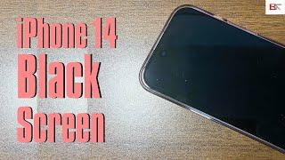 iPhone 14 Screen Goes Black Randomly? Try These 5 Steps to Fix Black Screen