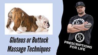 Gluteus or Buttock Massage Techniques | Life Rx Los Angeles