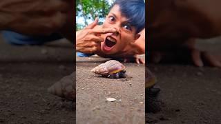 Such is the young Tarzan's amazing skill, he can befriend a millipede with a snail #millipede #snail