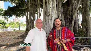 La Historia que esconde este gigantesco Árbol en Puerto Rico.