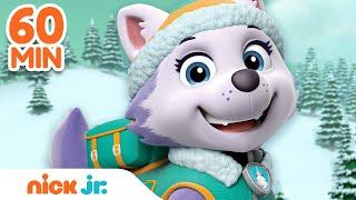 PAW Patrol Everest Snow Rescues & Adventures! w/ Rubble & Rocky | 60 Minute Compilation | Nick Jr.