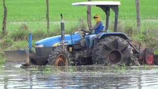 Fangueando con rotocultor, arrozales Ecuador