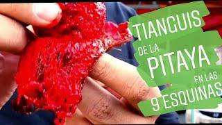 Que hacer en GUADALAJARA?// PITAYAS de las 9 ESQUINAS