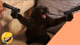 THE FUNNIEST PET VİDEOS OF THE YEAR!  | BEST COMPİLATİONSPART 8