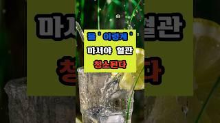 물 이렇게 마셔야 혈관 청소된다 #건강 #이슈 #면역 #영양식 #꿀팁