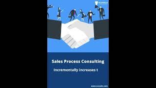 Sales Process Consulting