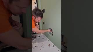 Специальный проход для кошки в туалет: нужен ли он в квартире?