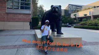 How does it feel to live in LA for a year｜来洛杉矶一年的感受