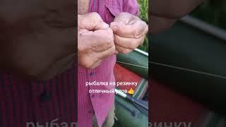 Рыбалка на резинку в Беларуси #рыбалка #рыбалкабеларусь