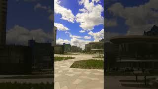Весна в моём городе#новосибирск#весна#май