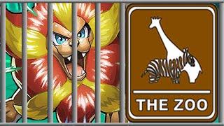 FULL ZOO TEAM!