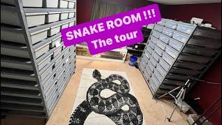 Snake ROOM TOUR 2023 (PART 1)  .  AMAZING Ball Pythons and Boa Constrictors