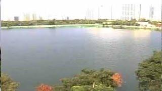 Citizens' voice: Chennai residents on a mission to save Perungudi lake