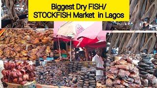 Food Market, cheapest & Biggest Dry Fish Market In Lagos, Cost of living in Nigeria