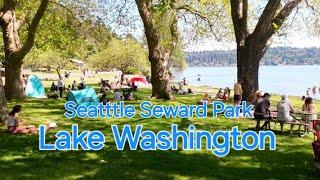  Exploring Seattle; Lake Washington, Seward Park, front Lake neighborhoods by riding scooter tour!