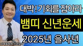 뱀띠 신년운세 2025년 을사년 종합운 재물운 건강운 애정운   89년생 77년생 65년생 53년생 41년생 전화상담 및 방문상담 051-805-4999