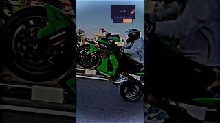 Kawasaki Ninja Zx10r Wheelie  #shorts