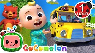 [ 1-GODZINNA PĘTLA ] Koła w autobusie! | Zabawna nauka pętli Cocomelon | Rymowanki i piosenki dla dzieci