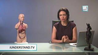 Alyaa Gad - Endocrine Glands