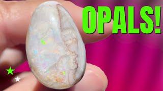 Finding and Cutting OPAL from Idaho's Spencer Opal Mine