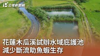 花蓮木瓜溪試辦水域庇護池 減少斷流助魚蝦生存｜20230921 公視中晝新聞