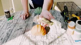 Dollar Tree Foam Pumpkin Decor