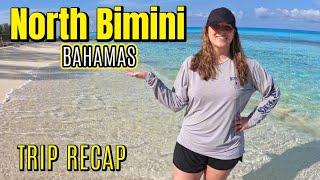 Things to do, scuba diving with sharks, radio beach, and the best donut on North Bimini, Bahamas