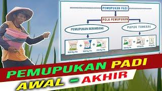 TUTORIAL PEMUPUKAN PADI Dari Awal-Akhir Untuk PETANI PEMULA