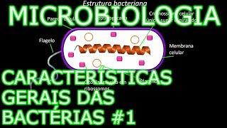 Aula: Microbiologia Médica #4 - Características Gerais das Bactérias #1