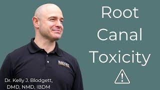 Root Canal Toxicity: Everything You Need to Know About Root Canals