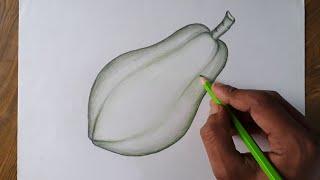 How to draw a papaya step by step (so easy)