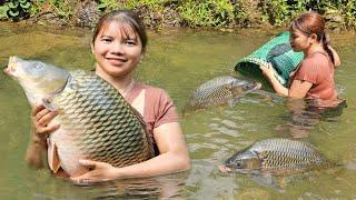 Catching super big carp, the girl's survival on the lake. _Trieu Duong_ fishing.