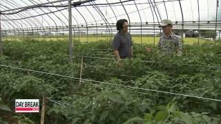 Korean organic farmers see fruitful results