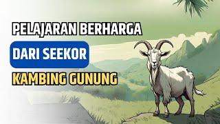 Petaka Dari Pendirian Yang Salah - Kisah Inspiratif, Video Motivasi