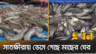 সরবরাহ কমায় বেড়েছে সব ধরনের মাছের দাম | Fish Price | Satkhira News | Ekhon TV