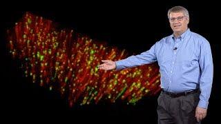 David Drubin (UC Berkeley) 3: Actin dynamics and endocytosis in mammalian cells