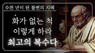 나를 상처 준 사람에게 화내지 마라. 이렇게 해야 최고의 복수다 | 세네카의 인생 수업