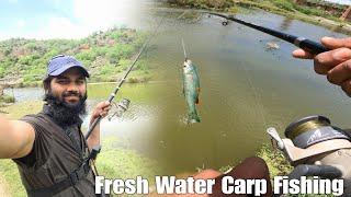 Catching Carp & Fresh Water Bam ( Eel ) | Hook Fishing #Carp Fishing #Fishing Rod