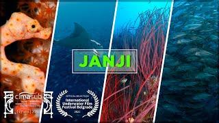 JANJI