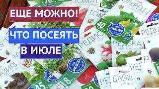 ЧТО ПОСЕЯТЬ В ИЮЛЕ? ЦВЕТЫ И ОВОЩИ!