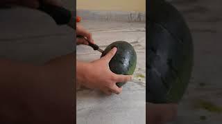 Black watermelon Cutting  #Shorts